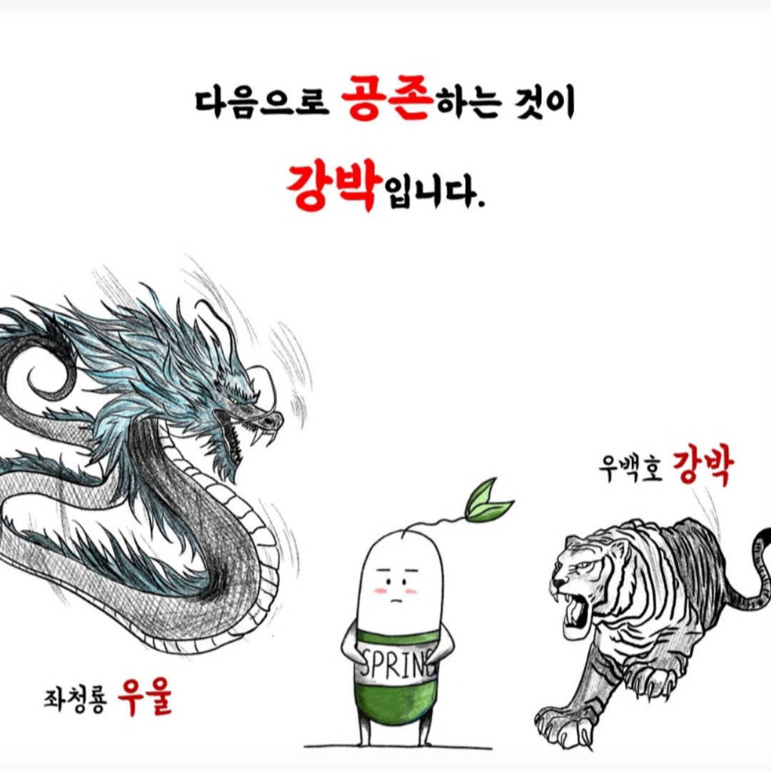/user/m/mirai/editor/2504/92671a533534919b97874354d62acdb5_1745570723_3661.png 이미지크게보기