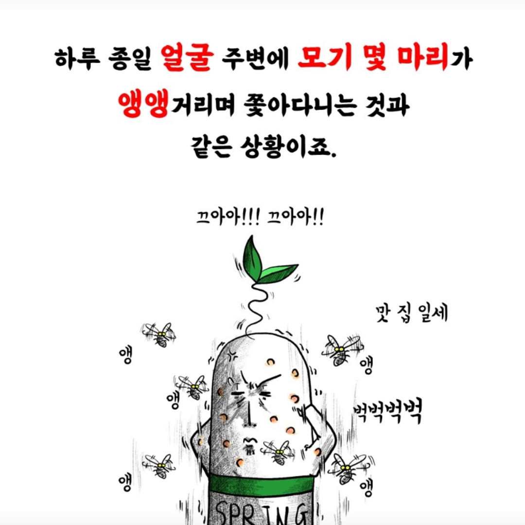 /user/m/mirai/editor/2504/92671a533534919b97874354d62acdb5_1745570825_1489.png 이미지크게보기