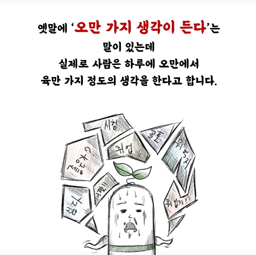 /user/m/mirai/editor/2504/c1c7c36a5eb6b79bed2d07b6721a853d_1744018878_3165.jpeg 이미지크게보기