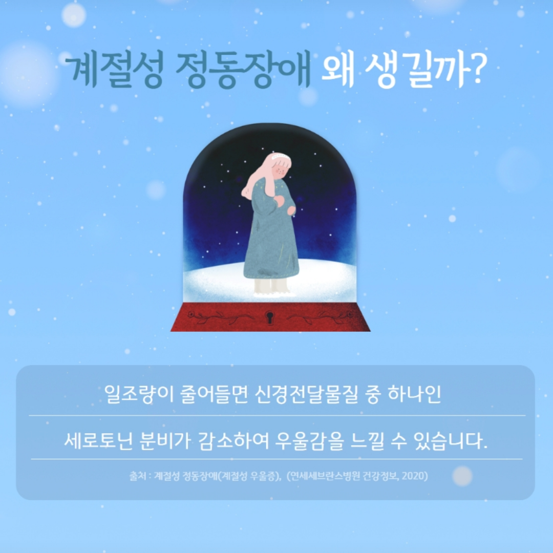 /user/m/mirai/editor/2601/cfd938eeb50bcd9b4088fca178185475_1767780139_4412.png 이미지크게보기