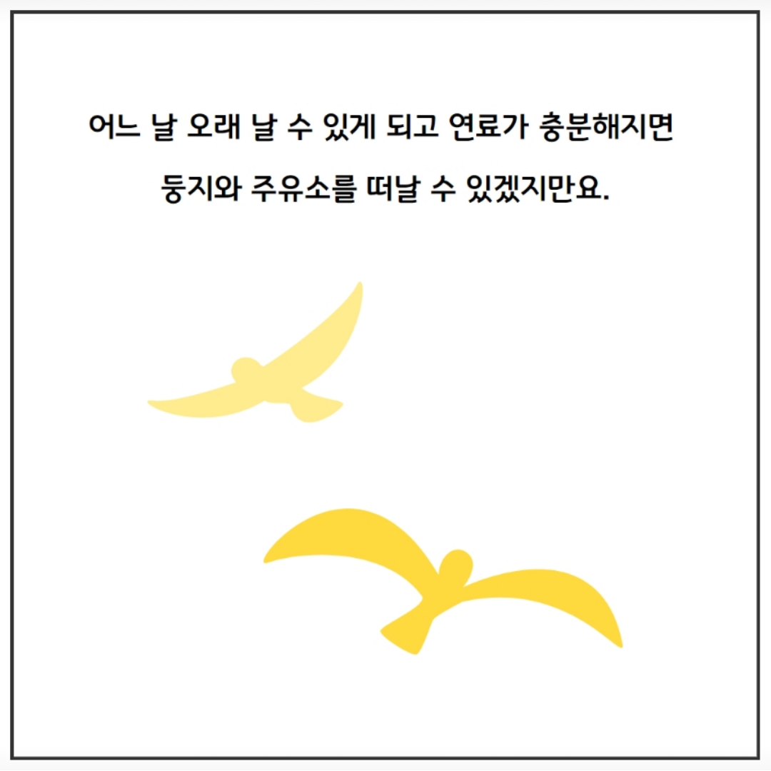 /user/m/mirai/editor/2602/774f9b070527d2763993601c2e625b02_1770889062_0589.png 이미지크게보기