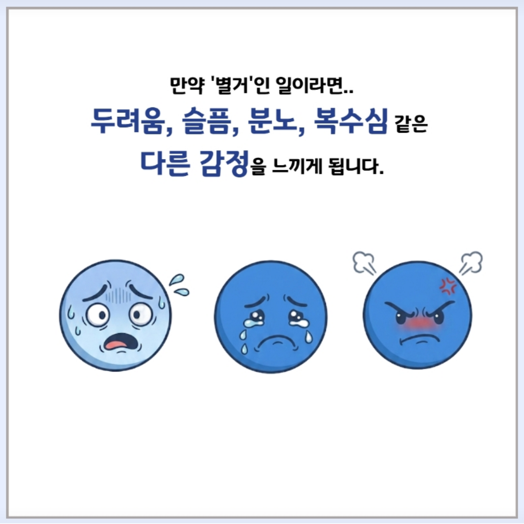 /user/m/mirai/editor/2610/943ba5f6a7d02d8eaa9255a1e8f56859_1790923394_0857.png 이미지크게보기